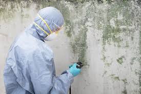 Best Environmental Consulting for Mold Prevention  in Salunga, PA